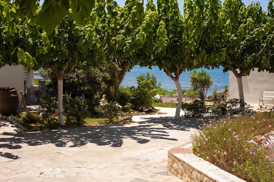Apartment Artemis Seafront Petres (Rethymno)